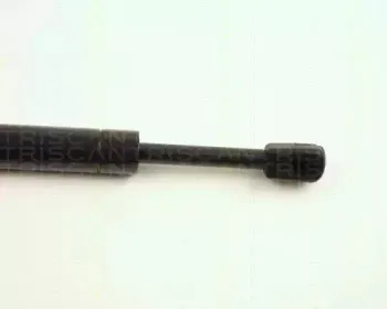 triscan-871028101