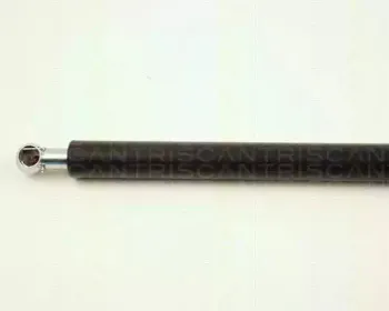 triscan-871028104