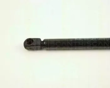 triscan-871028202