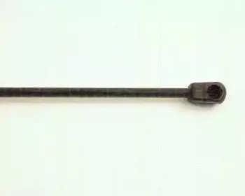triscan-871028202
