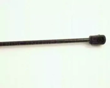 triscan-871028206