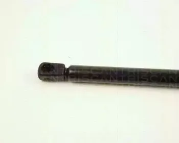 triscan-871028209