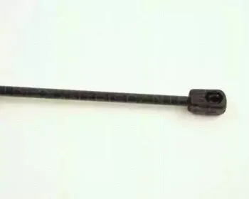 triscan-871028209