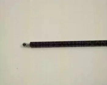 triscan-871028216