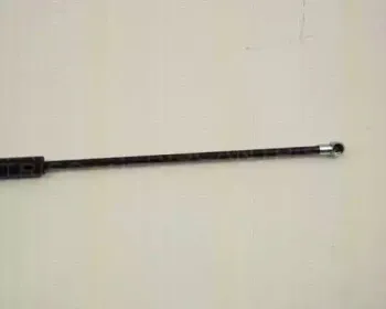 triscan-871028216