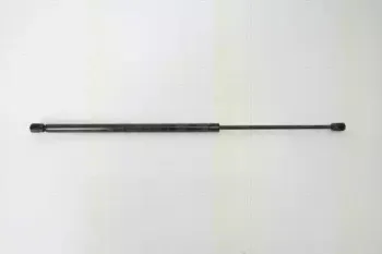 triscan-871028225