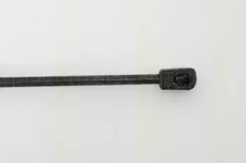 triscan-871028225