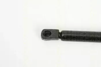 triscan-871028232