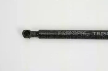 triscan-871028236