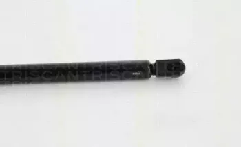 triscan-871028242