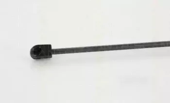 triscan-871028242