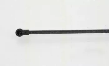 triscan-871028243