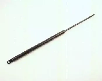 triscan-87102906