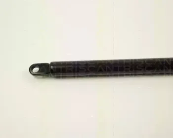 triscan-87102906