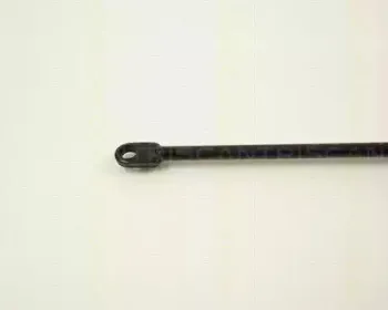 triscan-87102906
