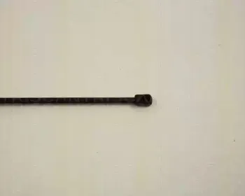 triscan-871029102