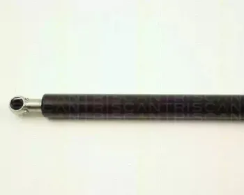 triscan-871029104