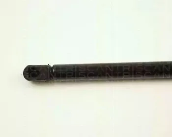 triscan-871029110
