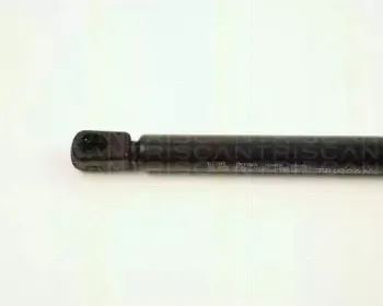 triscan-871029113