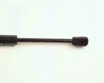 triscan-871029113