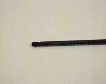 triscan-871029117