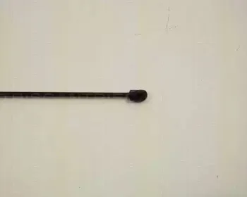 triscan-871029117