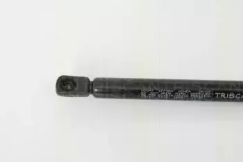 triscan-871029120