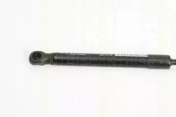 triscan-871029128