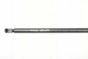 triscan-871029130