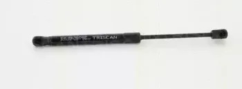 triscan-871029134