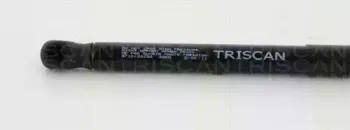 triscan-871029134