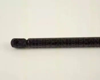 triscan-871029203