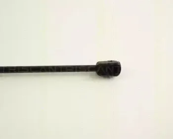 triscan-871029203