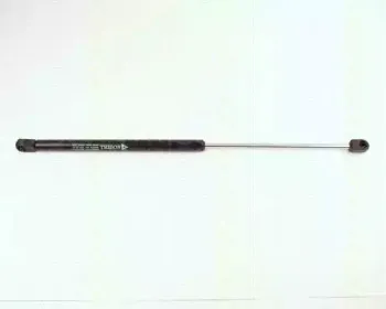 triscan-871029207