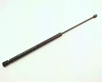triscan-87102921