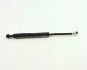 triscan-871029210