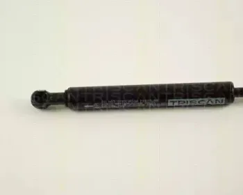 triscan-871029210