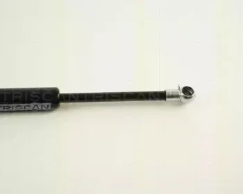 triscan-871029210