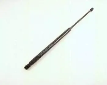 triscan-871029211