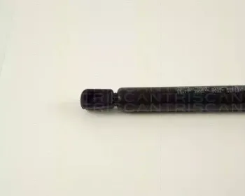 triscan-871029211