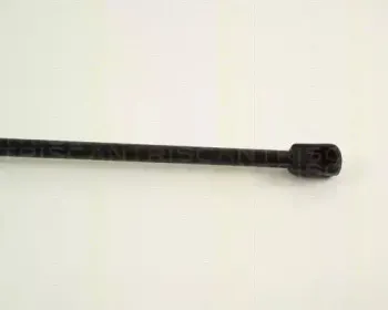triscan-871029211