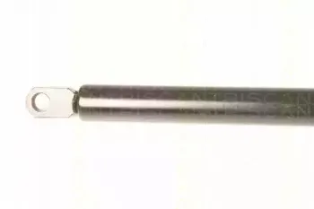 triscan-871029216