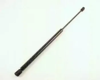 triscan-871029217