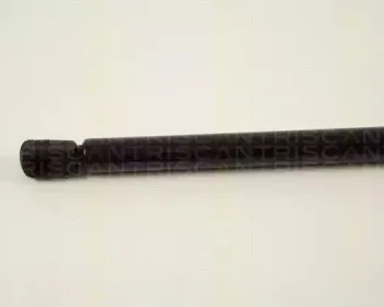 triscan-871029217