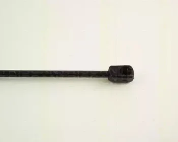 triscan-871029217