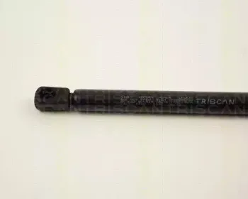 triscan-87102921