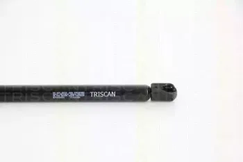 triscan-871029221