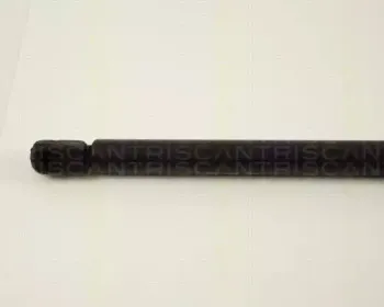 triscan-871029225