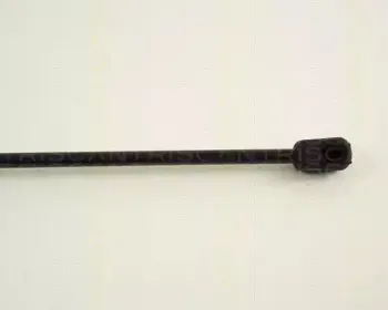 triscan-871029225