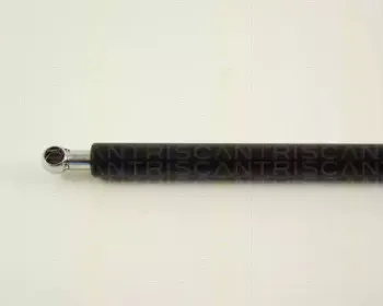 triscan-871029227